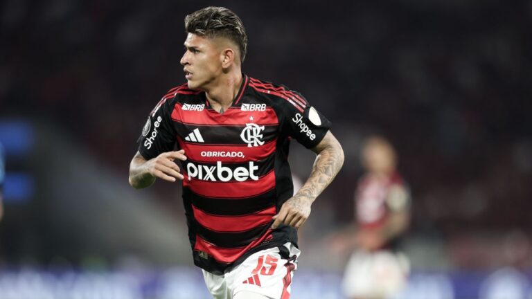 Gilvan de Souza/ Flamengo